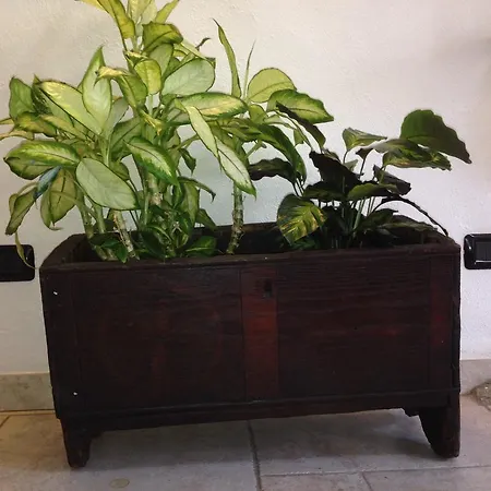 梅森德斯查兰特公寓 公寓