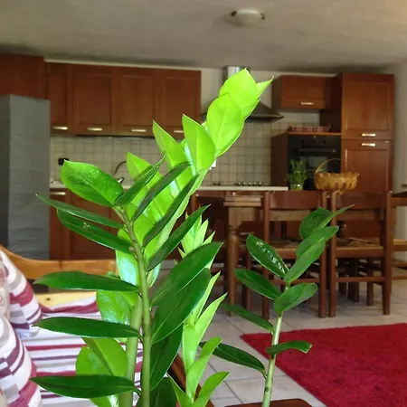 梅森德斯查兰特公寓